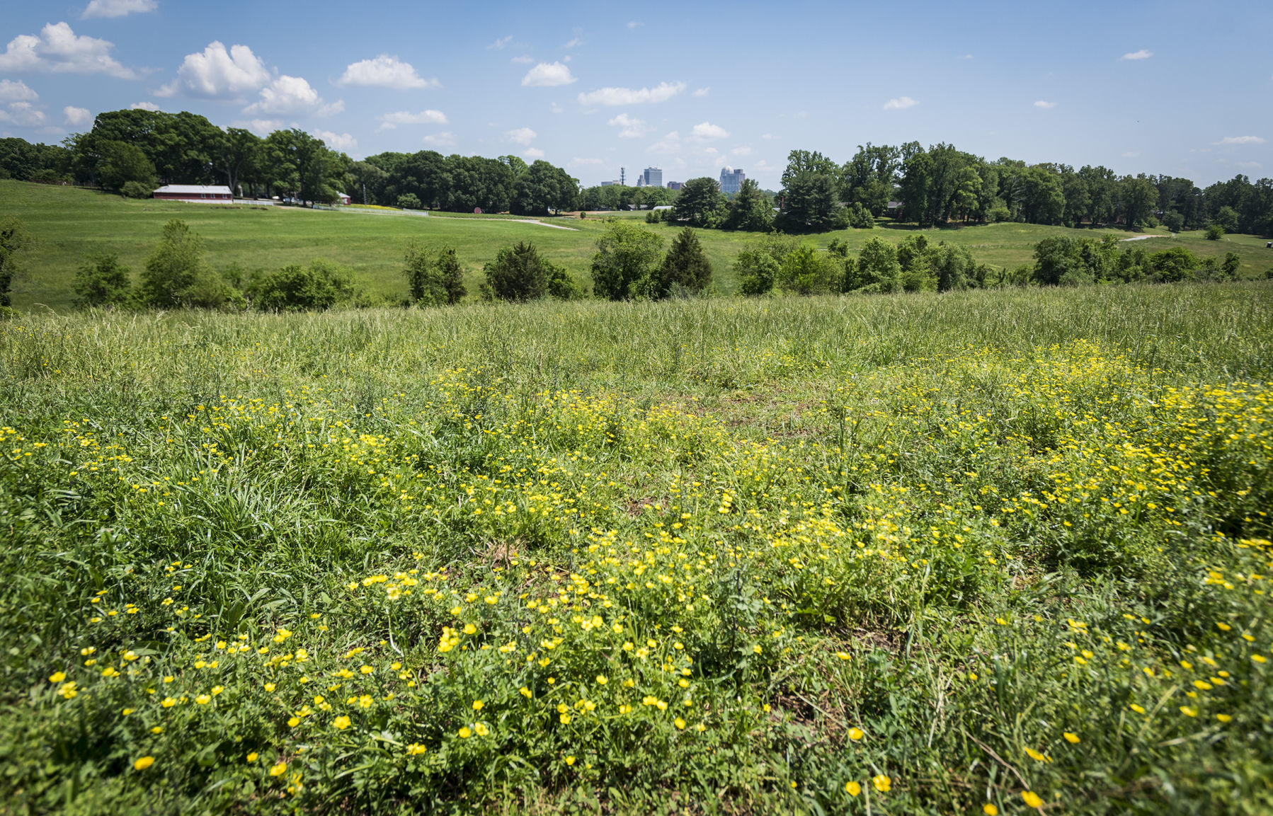 Easement